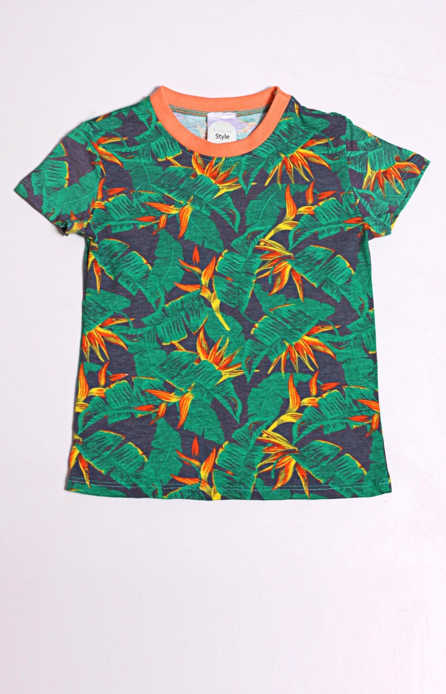 Boys Printed T-shirt - Green